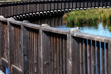 Nature Bridge — Commercial Contractors in New Port Ritchey, FL